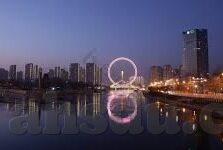 91麻豆国产自拍视频-91麻豆，国产自拍视频的风向标与文化现象