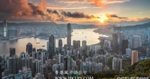 91麻豆视频官网-探索91麻豆视频官网的多元化与影响力