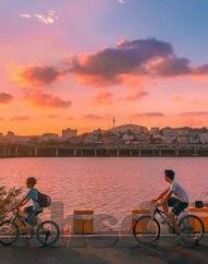 向日葵视频成人app下载-探索向日葵视频，成人娱乐的数字化新篇章